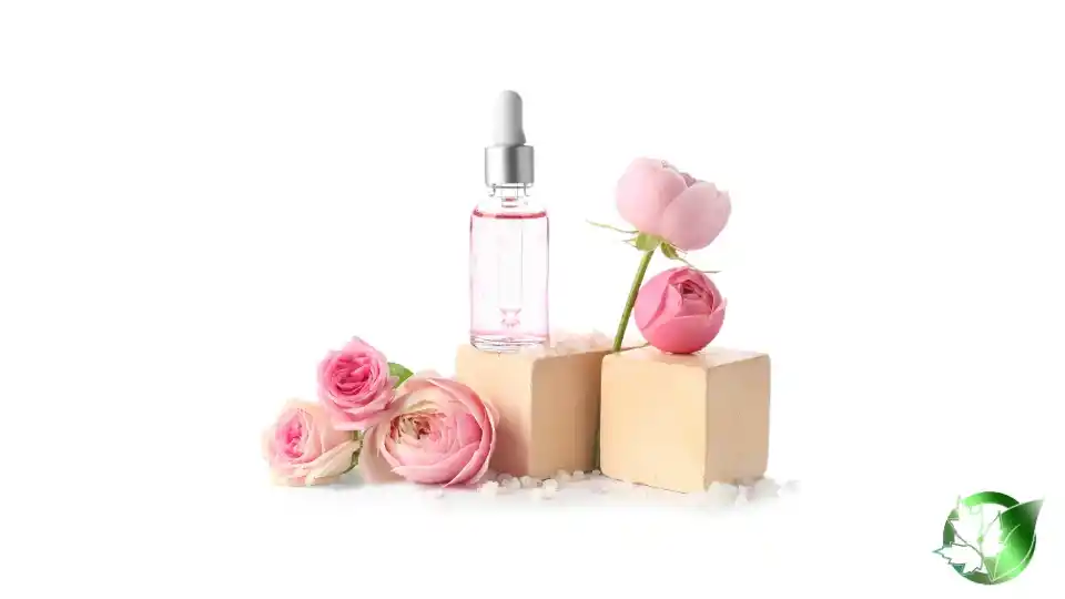 Bulk Damask Rose Extract | Suppliers | Wholesale | ParsaFood Global